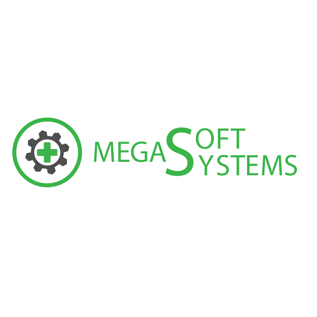 Megasoft System