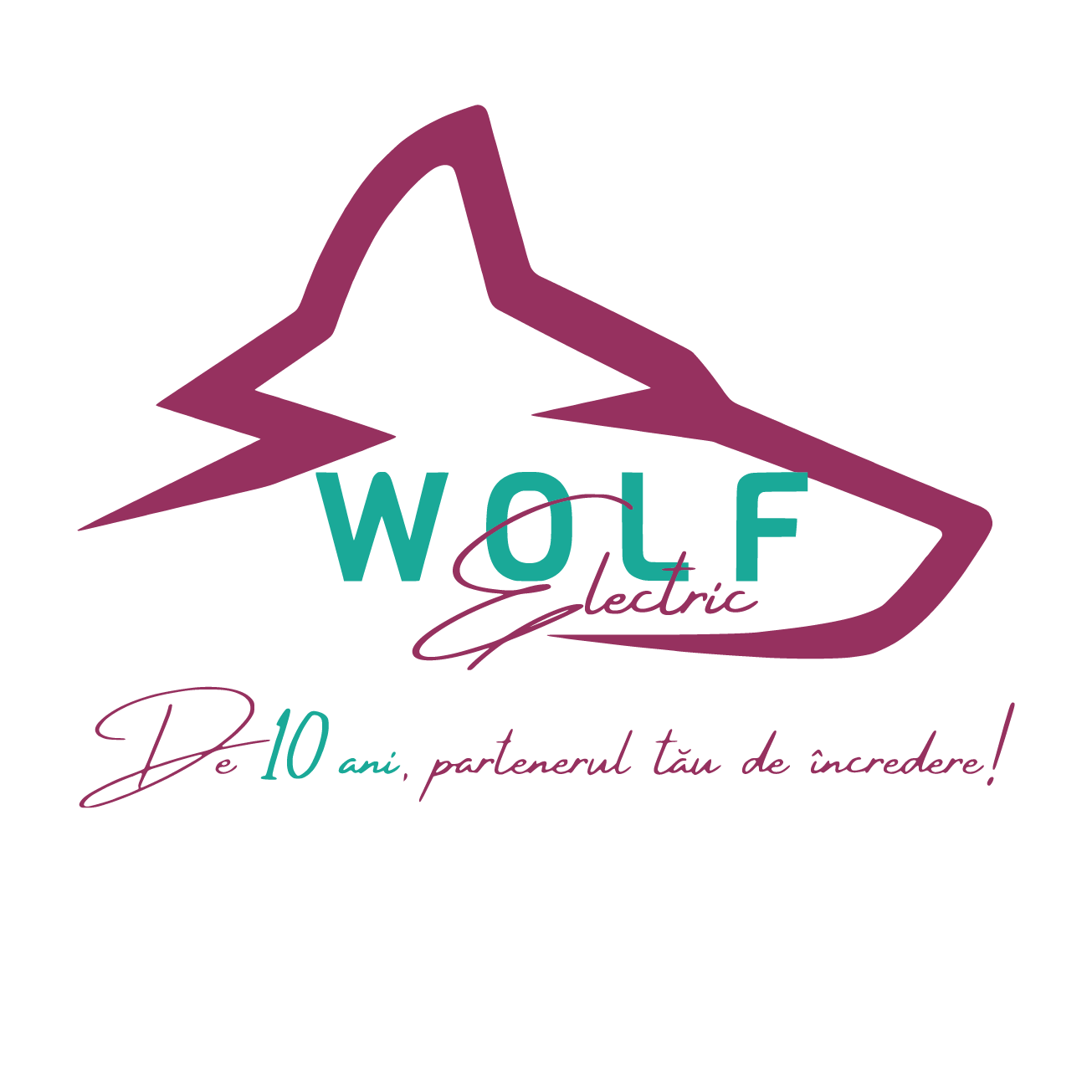Sigle Parteneri Site_Wolf Electric Wolf Electric